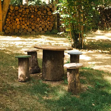 Nuts Palace